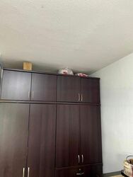 Blk 729 Yishun Street 71 (Yishun), HDB 3 Rooms #483541151